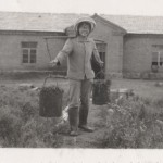 Feeding the Pigs in China