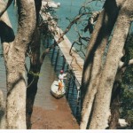 In Front of my House