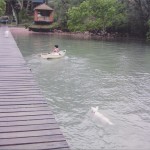 Rowing the Boat in Front of House