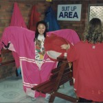 Weiwei Ready to Fly Indoors