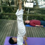 Weiwei Teaching Yoga